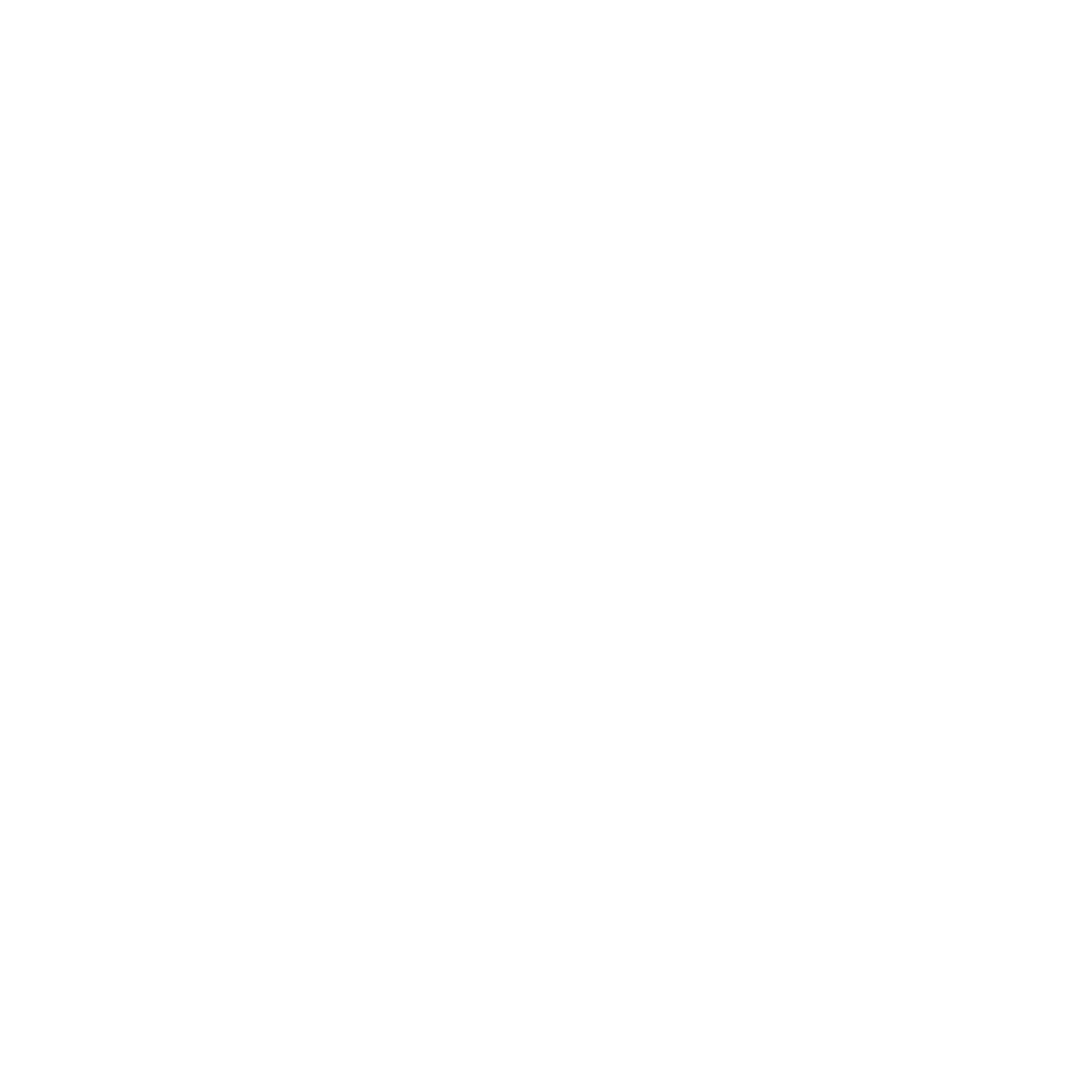 margins schema of pagedjs